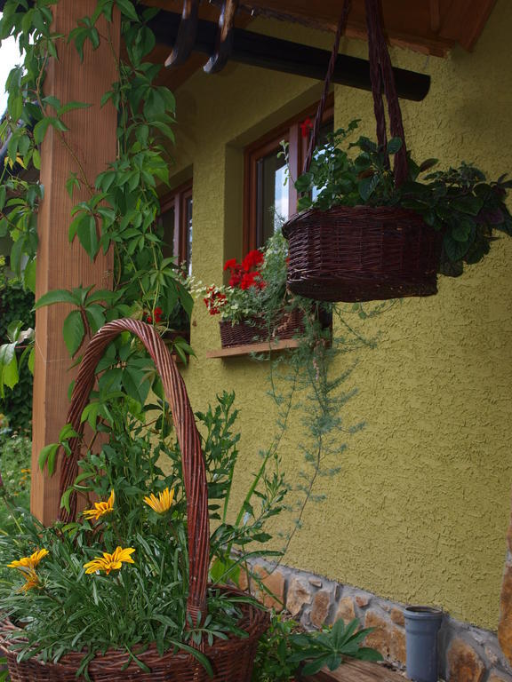Zielony Ruczaj Cisna Exterior photo